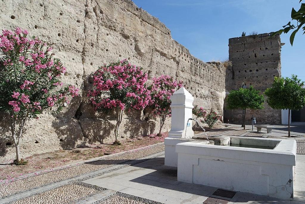 Отель Hospederia Convento De Santa Clara Пальма дел Рио Экстерьер фото